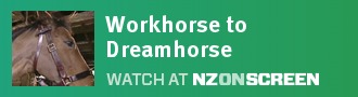Workhorse to Dreamhorse
