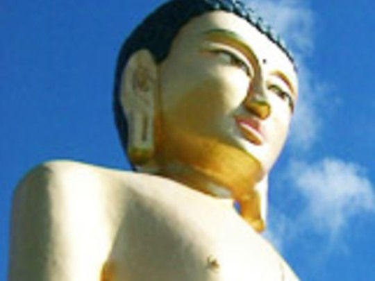 Thumbnail image for Kiwi Buddha
