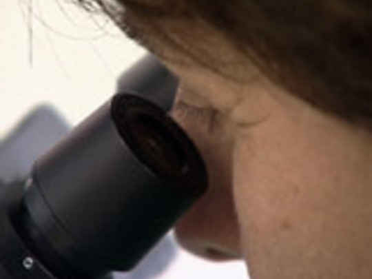 Thumbnail image for Asia Downunder - Series 14, Episode 14