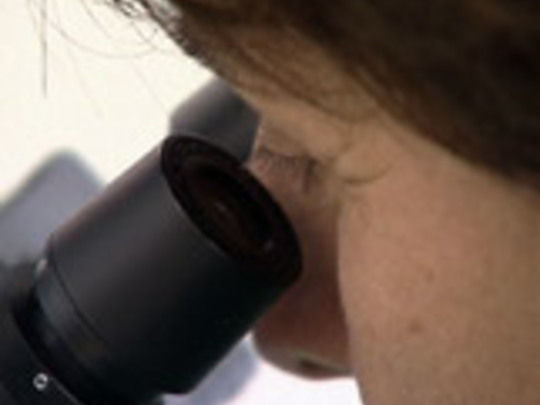 Thumbnail image for Asia Downunder - Series 14, Episode 14