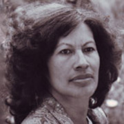 Profile image for Merata Mita