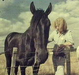 Image for Charlie Horse