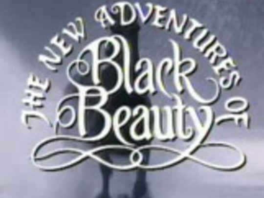 Thumbnail image for The New Adventures of Black Beauty