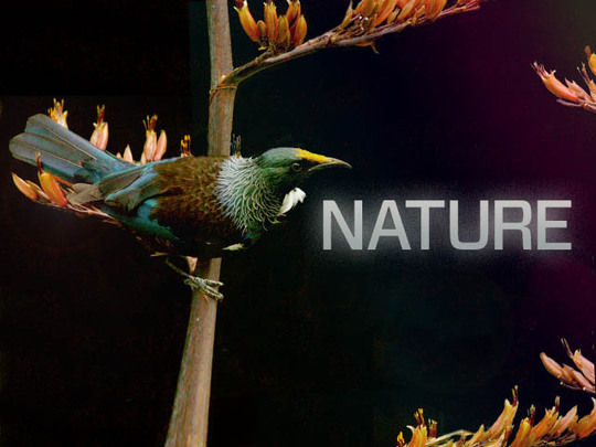 Image for The Nature Collection