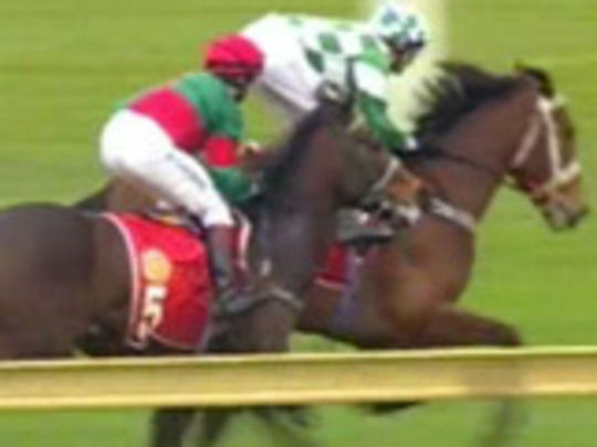 Thumbnail from title in The Horse Collection | NZ On Screen