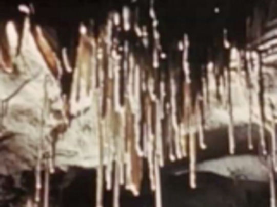 Thumbnail from title in Brian Brake at the NFU | NZ On Screen