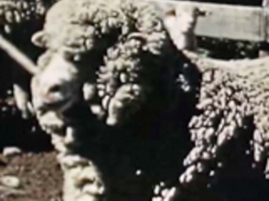 Thumbnail from title in Brian Brake at the NFU | NZ On Screen