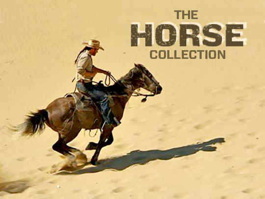 Thumbnail image for The Horse Collection