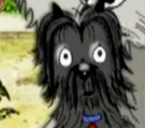 hairy maclary hairy maclary