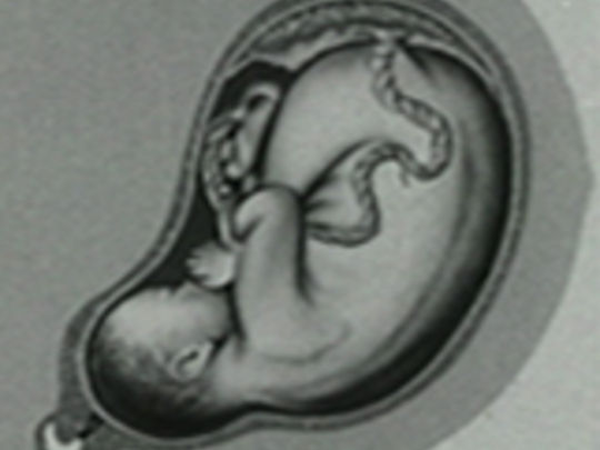 Thumbnail image for A Baby on the Way