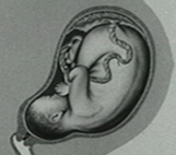 Image for A Baby on the Way