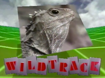 Image for Wildtrack