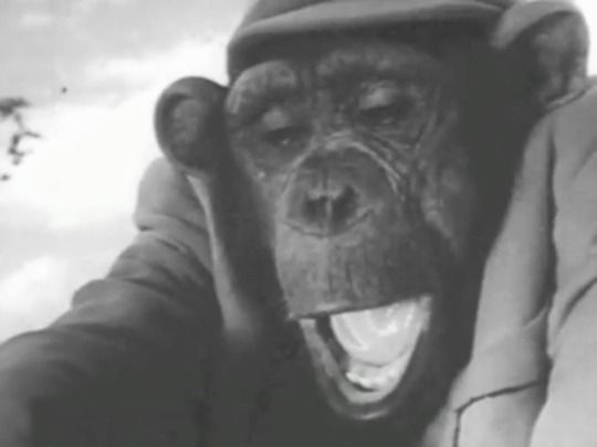 Thumbnail from title in National Film Unit Collection | NZ On Screen