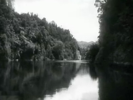 Hero image for The Legend of the Whanganui River