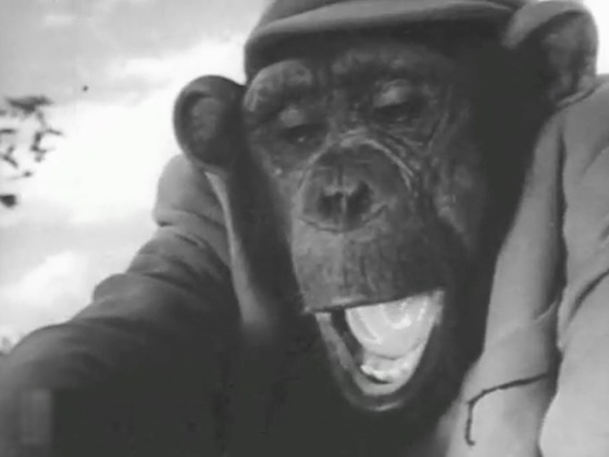 Hero image for Monkey Tale