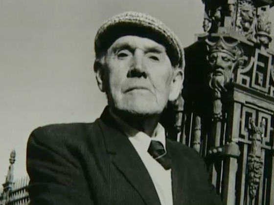 Hero image for 1951