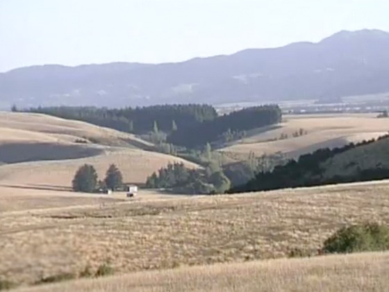 Hero image for Our People Our Century - A Piece of Land