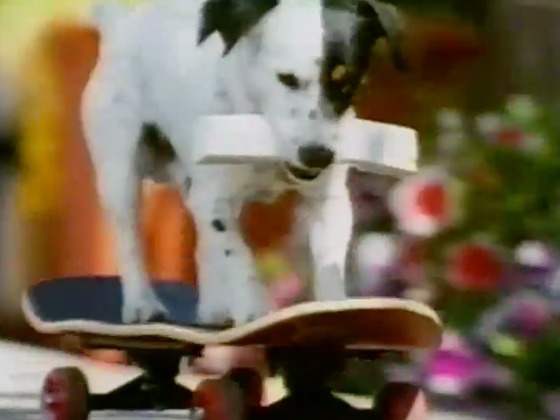 Hero image for Spot - Telecom 