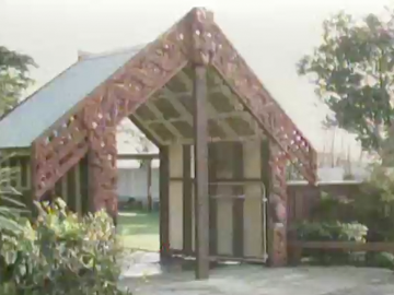 Image for The Beginner's Guide to Visiting the Marae