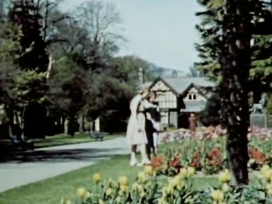 Hero image for Christchurch - Garden City of New Zealand