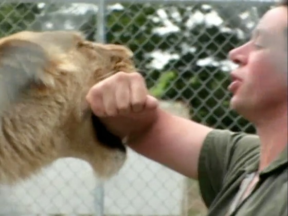 Hero image for The Lion Man - First Episode
