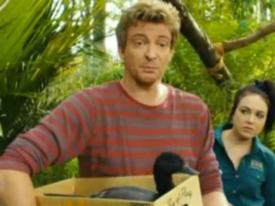 5173.thumb.png.540x405.compressed