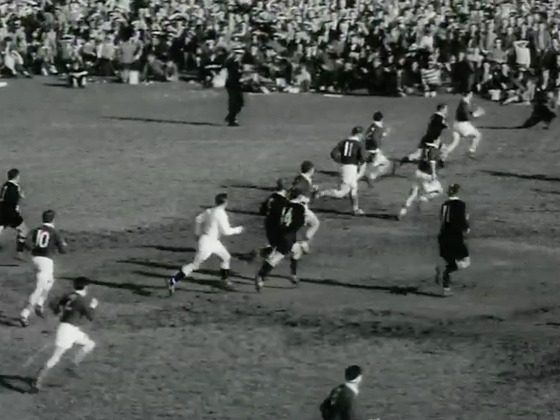 Hero image for France vs New Zealand (first test, 1961)