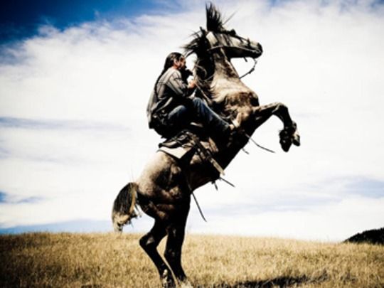 Thumbnail from title in The Horse Collection | NZ On Screen