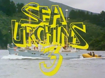 Image for Sea Urchins