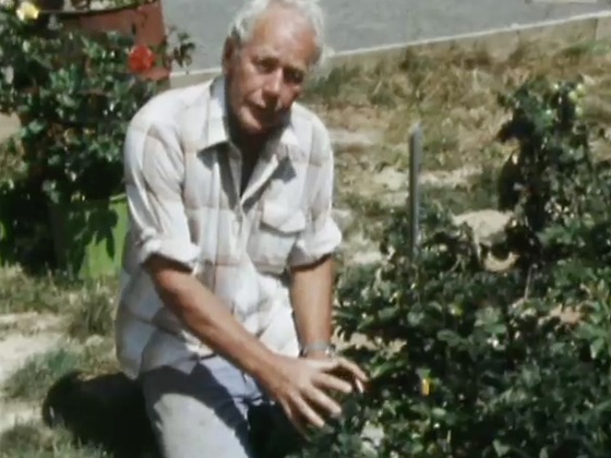 Hero image for Dig This - 1979 Episode