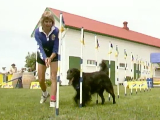Hero image for Tux Wonder Dogs - Series Six, Episode Six
