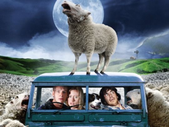 Thumbnail from title in The Sheep Collection | NZ On Screen