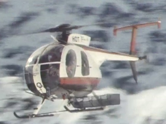 Hero image for Country Calendar - Tim Wallis