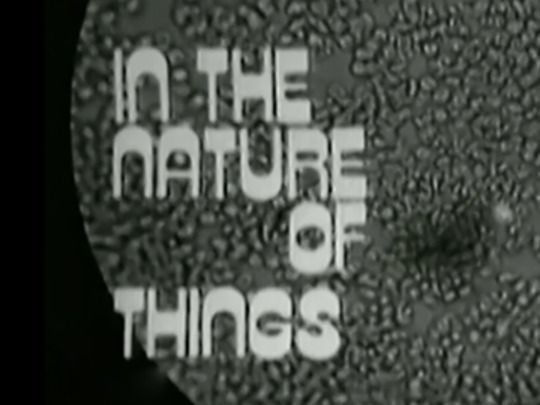 Thumbnail image for In the Nature of Things