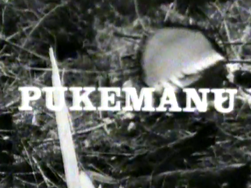 Image for Pukemanu