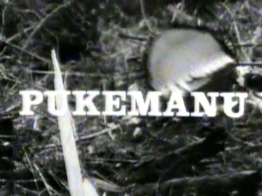 Thumbnail image for Pukemanu