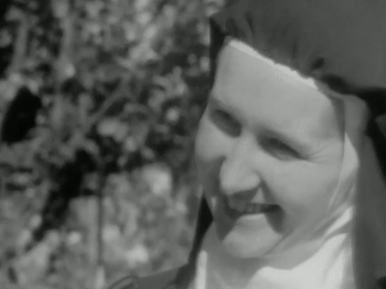 Hero image for The Carmelites