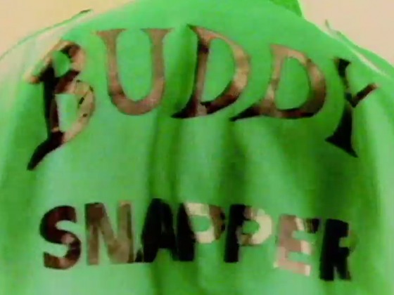 Hero image for Buddy