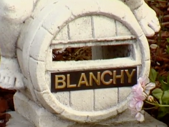 Image for Letter to Blanchy - A Serious Undertaking
