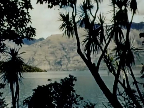 Hero image for Beautiful New Zealand