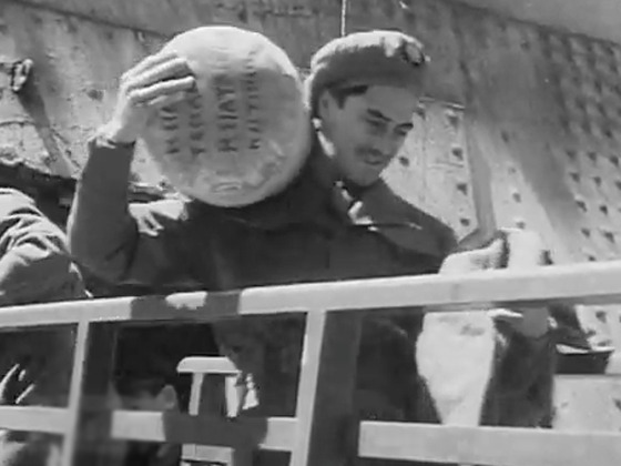 Hero image for Weekly Review No. 232 - Māori Battalion Returns
