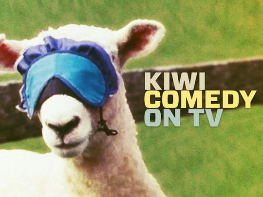 Collection image for Kiwi Comedy On TV