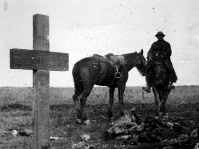 Image for Great War Stories 1 - Bess and the War Horses