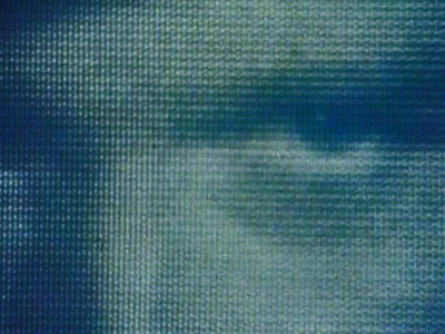 Hero image for Turning Brown and Torn in Two