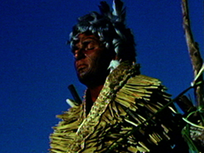 Hero image for Te Rauparaha