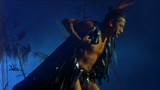 Hero image for Ahi Ataahua