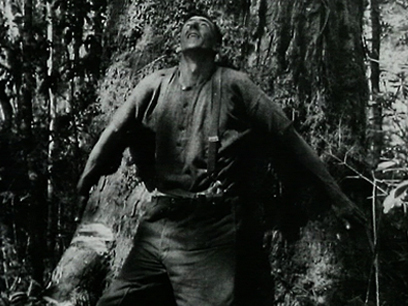 Hero image for Bushman