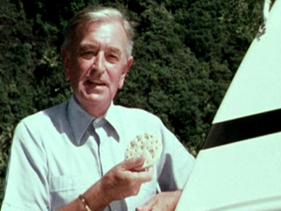 Hero image for Lost and Found: The Story of Cook's Anchor