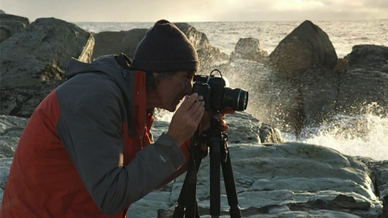 Hero image for Wild Coasts with Craig Potton - Fiordland &amp; Faraway Coasts