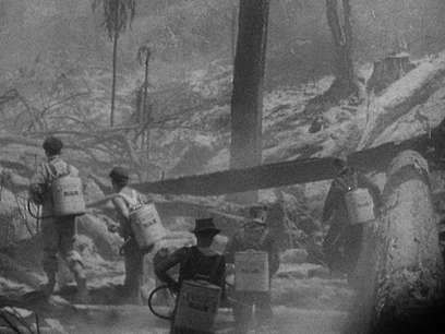 Hero image for Taupō Fires